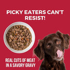 KOHA Lone Star Brisket Stew for Dogs with Beef, High Protein Wet Dog Food, 12.7oz Cans (Case of 12)