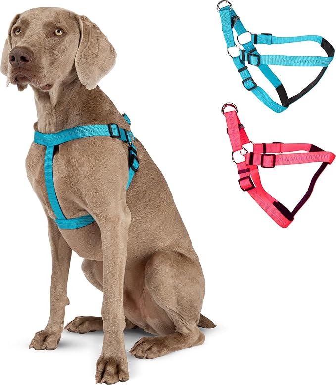 BLAZIN No Pull Dog Harness - Adjustable Step-in Reflective Nylon Vest Harness - Neoprene Padded for Extra Comfort (X-Small, Blue)