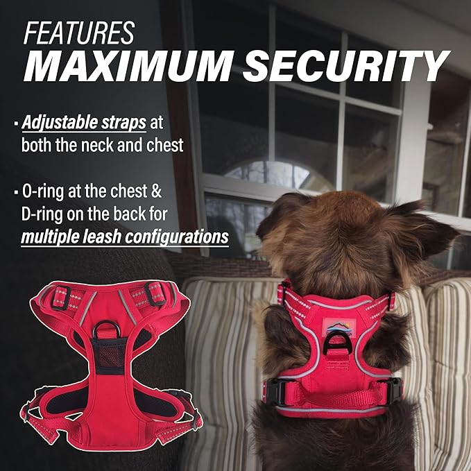 Doggie Design Venture Paw No Pull Dog Harness - Simple Adjustable Puppy Harness - Anti Pull Dog Collar for Walks and Outdoor Adventures - Crimson, S