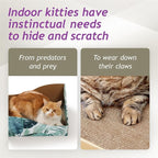 Hideaway Cat Scratcher Box for Indoor Cats - Cat Scratching Board, Horizontal Cat Scratch Pad Lounger with Reversible Usability and Extra Comfort for Lounge(Go Green)