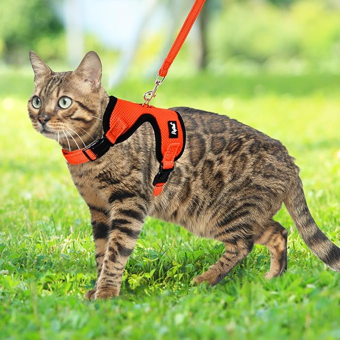 PUPTECK Cat Harness and Leash Set Escape Proof, Reflective Adjustable Soft Mesh Kitten Vest Harness for Walking Travel, Orange, M