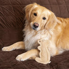 SPOT Dura-Fused Leather Squirrel Dog Toy – Real Leather & Jute Fabric, Double-Stitched & Durable, Soft Stuffed Squeaky Interactive Chew Toy for Moderate Chewers, Small & Medium Dogs, 8in