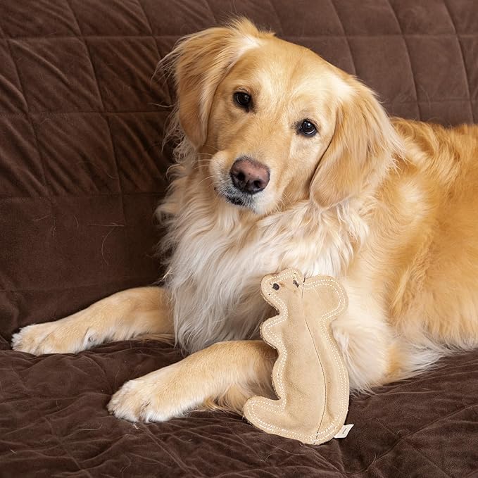 SPOT Dura-Fused Leather Squirrel Dog Toy – Real Leather & Jute Fabric, Double-Stitched & Durable, Soft Stuffed Squeaky Interactive Chew Toy for Moderate Chewers, Small & Medium Dogs, 8in