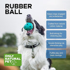 Only Natural Pet Rubber Boredom Buster Treat Stuffer Dog Toys - Interactive Stuffable Feeder Dispenser Fillable Durable Play Puppy Medium Large XS Chew Pup Hide Holder Easy Refill -RubberBall/Teal