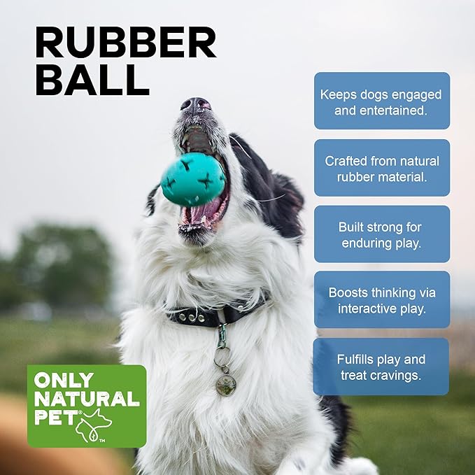 Only Natural Pet Rubber Boredom Buster Treat Stuffer Dog Toys - Interactive Stuffable Feeder Dispenser Fillable Durable Play Puppy Medium Large XS Chew Pup Hide Holder Easy Refill -RubberBall/Teal