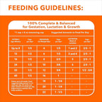 IAMs Proactive Health Dry Food for Cats - Kitten - Original - 3.18kg