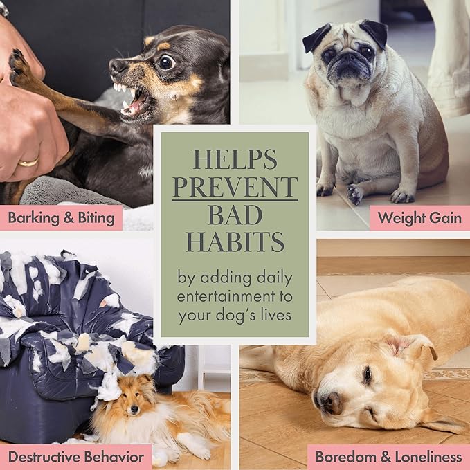 Organic Cotton Squeaky Dog Toys Fruits & Veggies Dog Toy Pack - Handmade Knit Dog Accessories, for Small Medium Dogs, Puppy Essentials and Puppy Toys Perfect Dog Gift