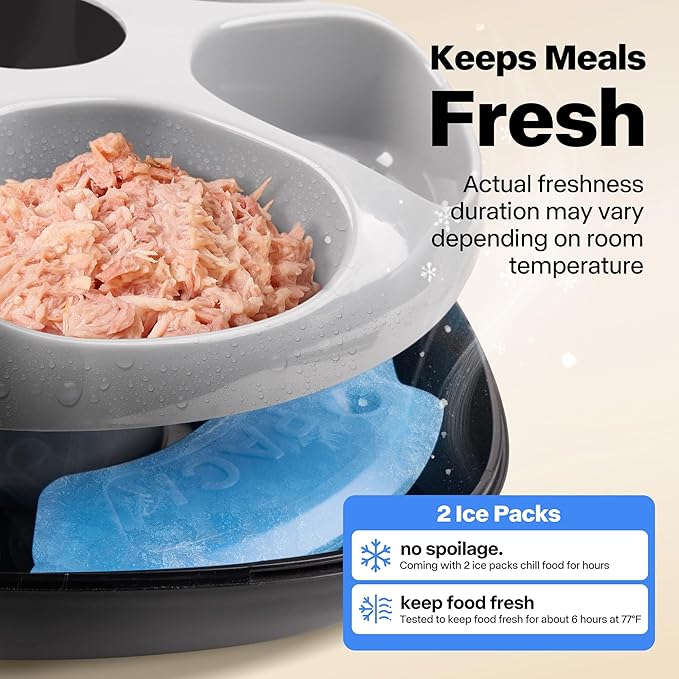 Rechargeable Automatic Timer Cat Feeder, Wet Food Auto Pet Food Dispenser for Small Dogs with Programmable Timer 8 oz per Meal, 5+1 Meals, Black