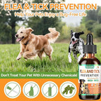 Oral Flea and Tick Support for Dogs and Cats, Natural Dog Flea and Tick Defense, Cat Flea Drops Supplements with Vitamin for Pets - All Breeds and Ages - Bacon