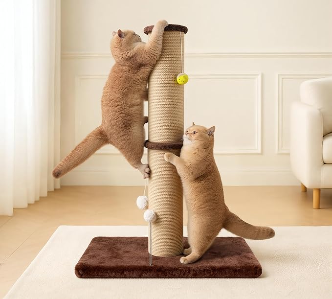 5-Inch Thick Sisal Cat Scratching Post, 36" Tall Scratch Tower with 6.5" Top Perch and Large 20.8×15.9" Stable Base, Durable Cat Scratcher for Indoor Cats, Brown