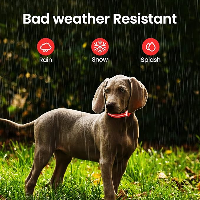 MASBRILL RGB Lighted Dog Collar - Flashing LED, Night Walking, Water-Resistant, Rechargeable for Small to Large Dogs