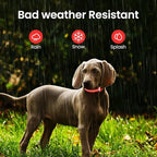 MASBRILL RGB Lighted Dog Collar - Flashing LED, Night Walking, Water-Resistant, Rechargeable for Small to Large Dogs