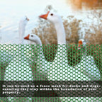 16.4 FT x 15.7 in Roll Mesh Fence, Versatile Green Plastic Fencing & Netting, Cuttable Animal Wire Mesh Fence, Durable Tree Trunk Protector, Suitable for Cat Dog Rabbit Barrier and Plant Protectors