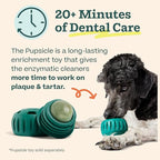 Woof Doggy Dental Pupsicle Mix - Dog Teeth Cleaning Powder for The Pupsicle - Long Lasting Postbiotic Dental Enzyme Mix to Support Oral Health for Dogs