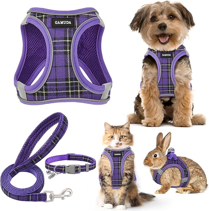 GAMUDA Small Dog Harness Collar and Leash Set, Step in No Chock No Pull Soft Mesh Adjustable Dog Vest Harnesses Plaid Reflective for Dogs Puppy Cats Kitten Rabbit (Purple, XXS)