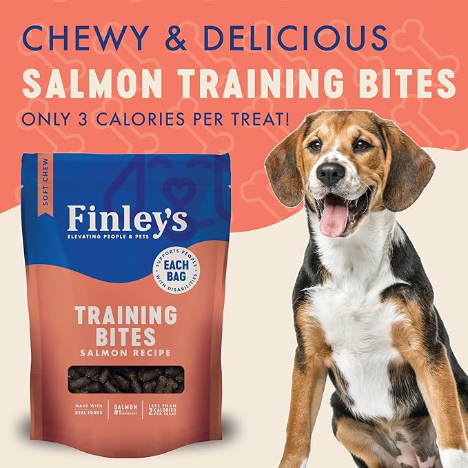 Finley's Salmon Training Bites, Low Calorie, All Natural Soft Chew Dog Treats, 16 Ounce (Pack of 2)
