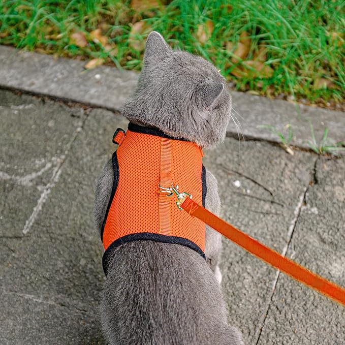 PUPTECK Soft Mesh Cat Vest Harness and Leash Set Puppy Padded Pet Harnesses Escape Proof for Cats Small Dogs Rabbits Bunny, Orange XL