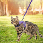 PUPTECK Cat Harness and Leash Set Escape Proof, Reflective Adjustable Soft Mesh Kitten Vest Harness for Walking Travel, Purple, S