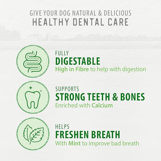 Caledon Farms Value Pack Plaque Busters Fresh 24.5oz/696g/ (4/cs)- 30ct