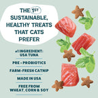 Shameless Pets Crunchy Cat Treats - Catnip Treats for Cats with Digestive Support, Kitten Treats with Real Ingredients, Natural & Healthy Flavored Feline Snacks - Fintastic Catnip, 1-Pk