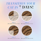 Weruva Paris Hilton Pamper Like Paris Natural Grain Free Wet Cat Food, Slay The Paté Variety Pack, 2.47oz Can (Pack of 12)