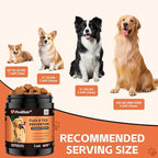 Flea and Tick Prevention for Dogs – 200 Soft Chews - Dog Flea and Tick Treatment & Oral Flea Pills – Skin & Coat Health - Made in USA - for Small, Medium, Large Dogs