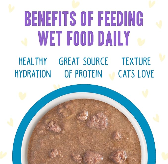 Weruva B.F.F. OMG - Best Feline Friend Oh My Gravy!, Chicken Charge Me Up with Chicken in Gravy, 2.8oz Pouch (Pack of 12)