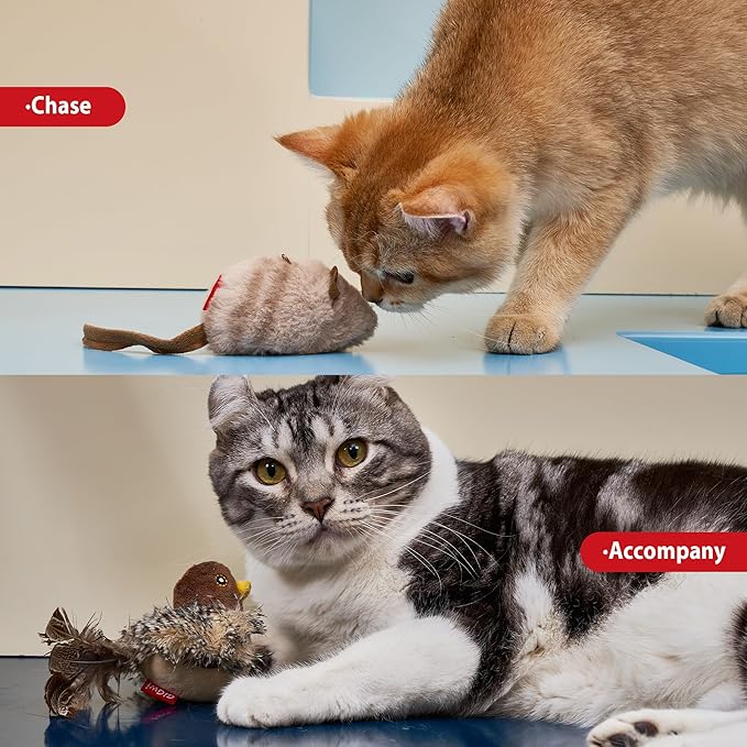 Gigwi Chirping Bird Cat Toy Set, Interactive Chasing Toy for Indoor Cat, Motion Activated Kitten Play Toys, Squeaky Cats Animal Feather Toy for All Breeds Cats Kicker