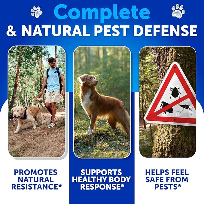 Flea and Tick Prevention for Dogs Chewables - Natural Flea Treatment Control - Supplement for Large & Small Dogs with Vitamins - Immune Support Chews - Puppy Pest Defense Oral Pills - 70 Soft Treats