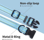 Mile High Life Nylon Night Light Glow Collar, Reflective Light Up Dog Collar, Fluorescent Self-Luminescent Strap for Small Medium Large Dogs (Blue, XS Neck9-13")