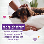 Wellness Tasty Cheese Flavored Soft Chews Calming Supplements for Dogs, 45 Count