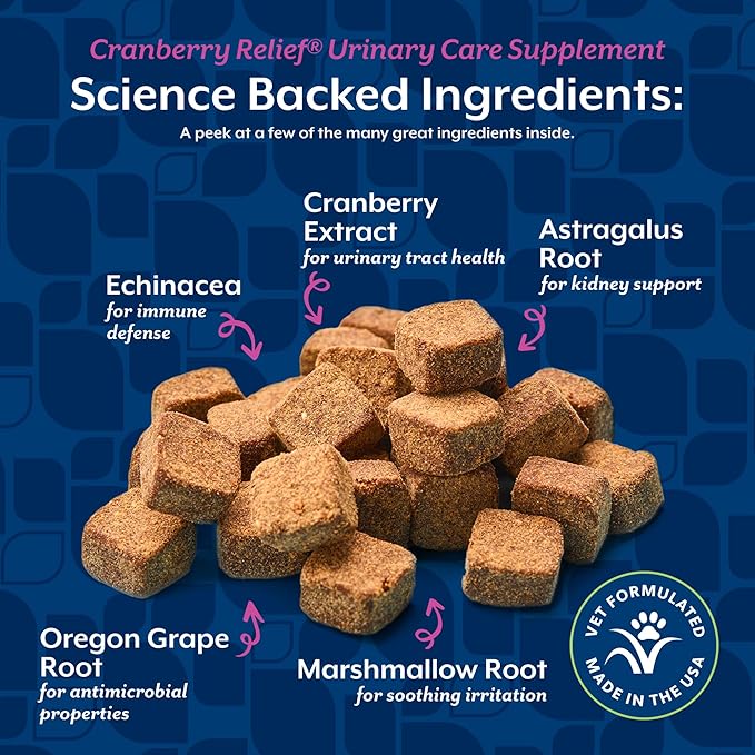 NaturVet – Cranberry Relief Plus Echinacea – Helps Support a Healthy Urinary Tract & Immune System – 60 Soft Chews