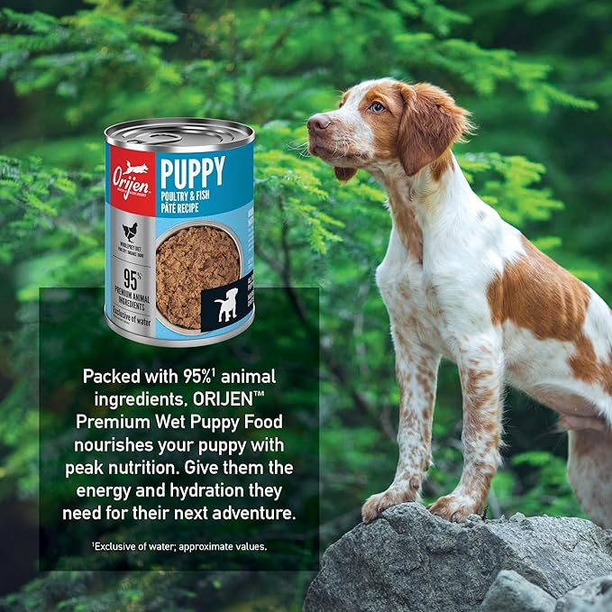 ORIJEN Puppy Recipe, Poultry & Fish Pâté, Grain-Free, Premium Wet Dog Food