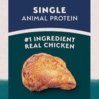 Natural Balance Limited Ingredient Adult Dry Dog Food with Healthy Grains, Chicken & Brown Rice Recipe, 12 Pound (Pack of 1)