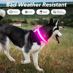 Visinite LED Dog Collar USB Rechargeable, Reflective Light Up Pet Collar for Night Walking, Adjustable Glow Collar for Small Medium Large Dogs (Pink, L)