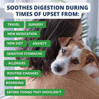 Under the Weather Easy to Digest Bland Dog Food Diet for Sick Dogs | Contains Electrolytes | Gluten Free, Freeze Dried 100% Human Grade Meats | 6 Pack - Rice, Hamburger & Bone Broth