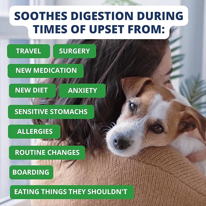 Under the Weather Bland Diet for Dogs | Easy to Digest for Sick Dogs |Always Be Ready| Contains Electrolytes - Natural Freeze Dried 100% Human Grade Meats| 2 Pack- Rice, Hamburger & Sweet Potato - 6oz