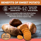 Sweet Potato Dog Treats - Grain Free, Salmon & Kelp Crunchy Sticks - Great Tasting, Promotes Positive Dog Gut Health with Natural Anti-Diarrhea Properties, No Preservatives Added (2lb Bag)
