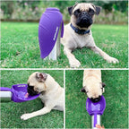 PupFlask Large Dog Water Bottle | 27 or 40 OZ Stainless Steel | Convenient Dog Drink Dispenser | Puppy Travel Water Bowl | Portable Pet Hydration Bottle | Leak Proof | Perfect Size For All Breeds