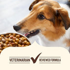 Nutrish Chunks in Gravy Variety Pack Wet Dog Food, 13 oz. Cans, 12 Count