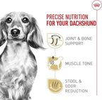 Royal Canin Dachshund Adult Breed Specific Dry Dog Food, 2.5 lb bag