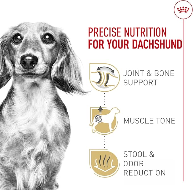 Royal Canin Dachshund Adult Breed Specific Dry Dog Food, 2.5 lb bag