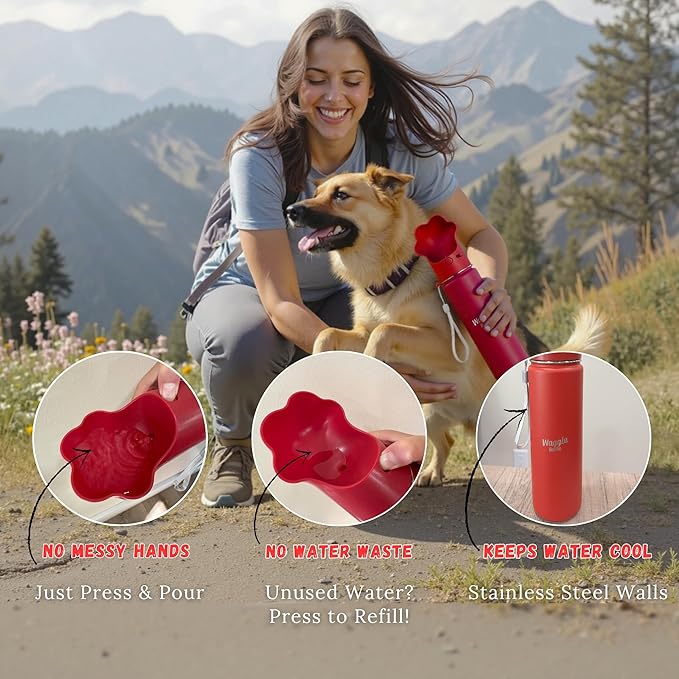 Stainless Steel Dog Travel Water Bottle, Vacuum Insulated Portable Dog Water Dispenser, Drink Cup and Snack Container On The Go, Outdoor Walking, Hiking, Travel (Red, 22oz)