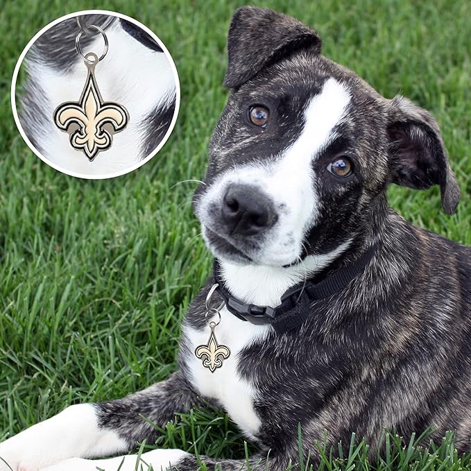 NFL New Orleans Saints Pet ID in 32 Team Logo Shapes - Engravable Stainless Steel Dog & Cat Tags - 3 Lines of Custom Text for Tracking & Safety