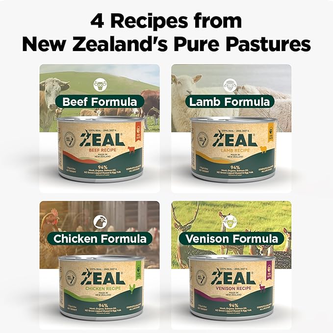 ZEAL New Zealand Wet Cat Food – High Protein, Grain-Free with Superfoods (Chicken & Salmon, 6oz Can, 12-Pack)