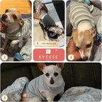 KYEESE 2Pack Waffle Dog Shirts for Small Dogs Stretchy T-Shirts Lightweight Tank Top Sleeveless Striped Shirt Vest Breathable Cat Shirt, Small, Orange+Striped