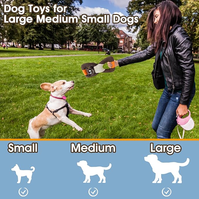 Plush Indestructible Durable Tough Dog Toys for Small Dogs, Interactive Dog Toys for Small Medium Large Dog Breeds (Raccoon)