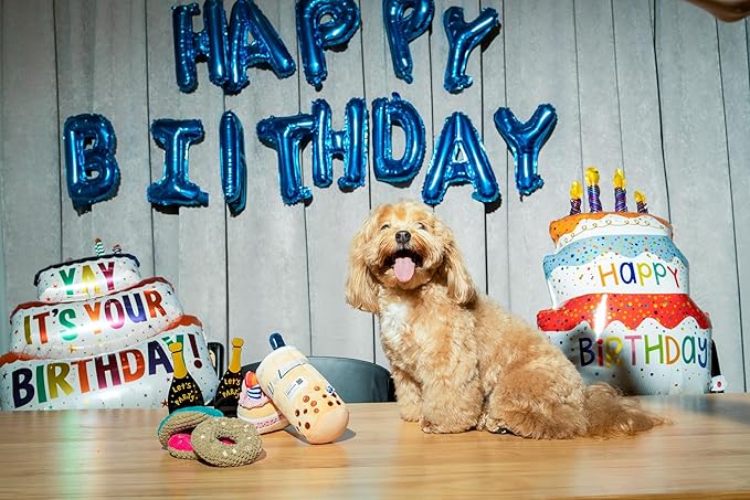Birthday Bone Interactive Dog Toy - Interactive Tug Rope Pet Toy - Cute Unique Design Party Birthday Gift - Small Medium Puppy - Durable Chew Resistant Plush Toy with Squeaker for Teething (White)