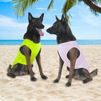 2 Pack Dog Shirts, Ice Pet Vest Dog Clothes for Instant Cooling, Lightweight Breathable Sleeveless T-Shirts for Medium Large Dogs, Light Purple+Fluorescent Green (L)