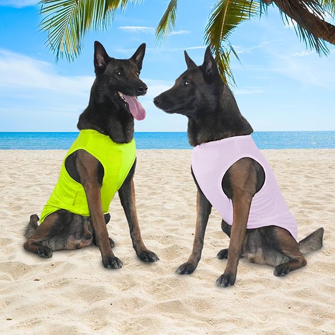2 Pack Dog Shirts, Ice Pet Vest Dog Clothes for Instant Cooling, Lightweight Breathable Sleeveless T-Shirts for Medium Large Dogs, Light Purple+Fluorescent Green (XL)